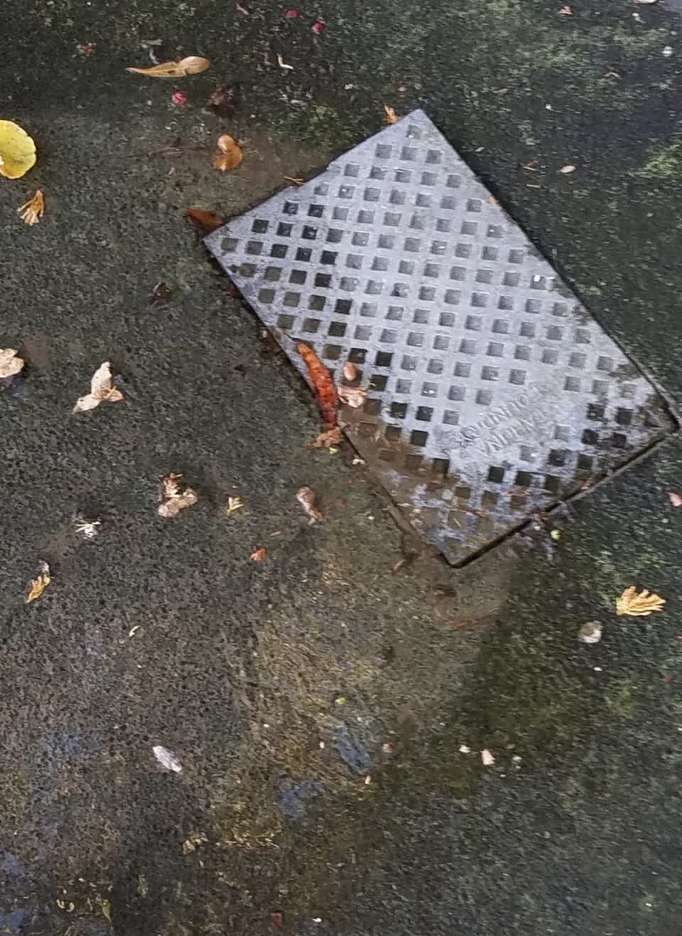 The photograph attached to this water supply report