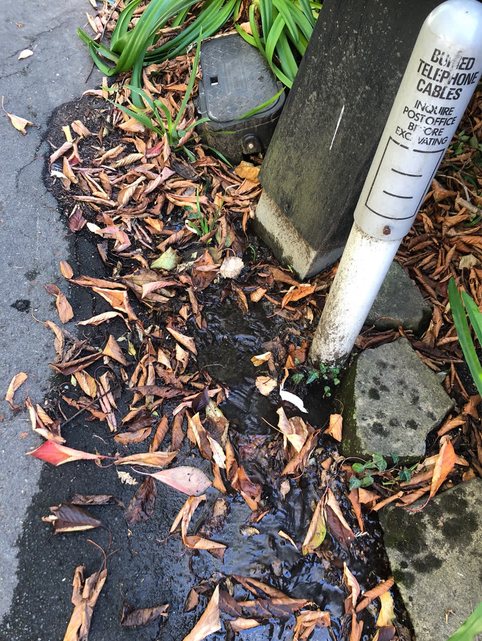 The photograph attached to this water supply report