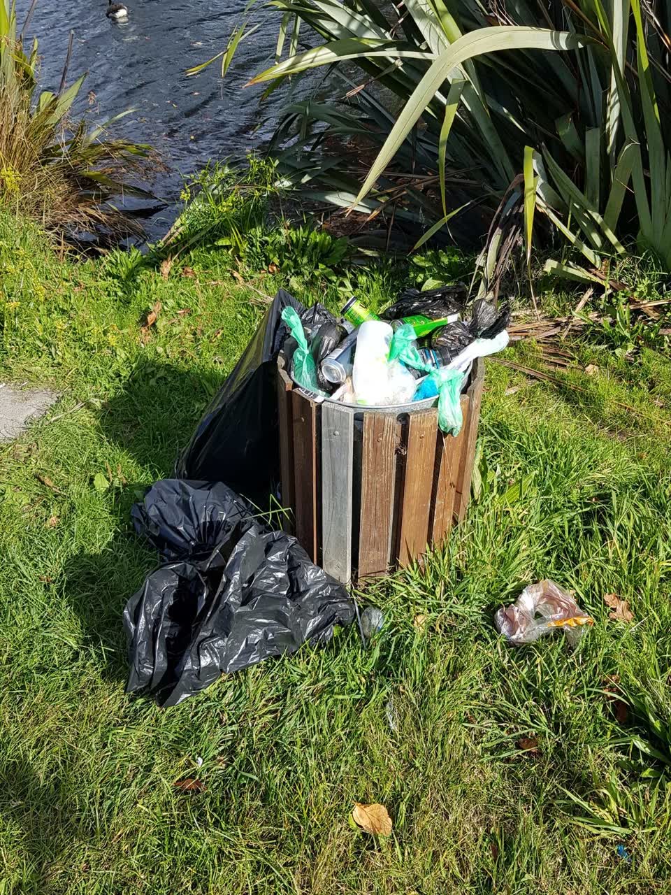 The photograph attached to this rubbish/recycling report