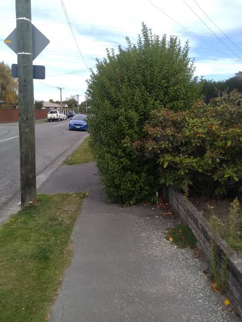 Roading/Streets, a report photo