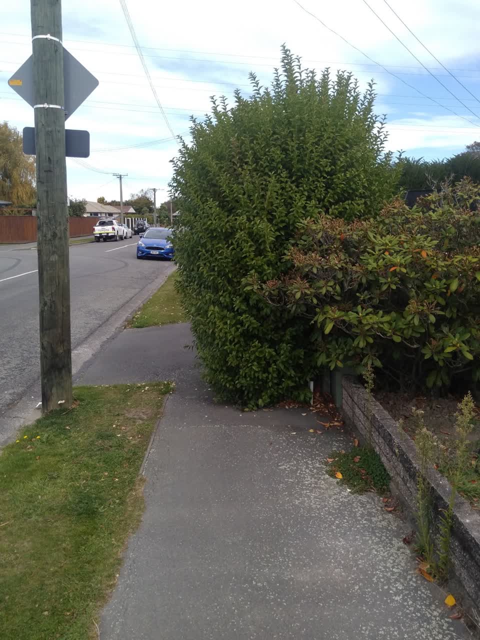 The photograph attached to this roading/streets report