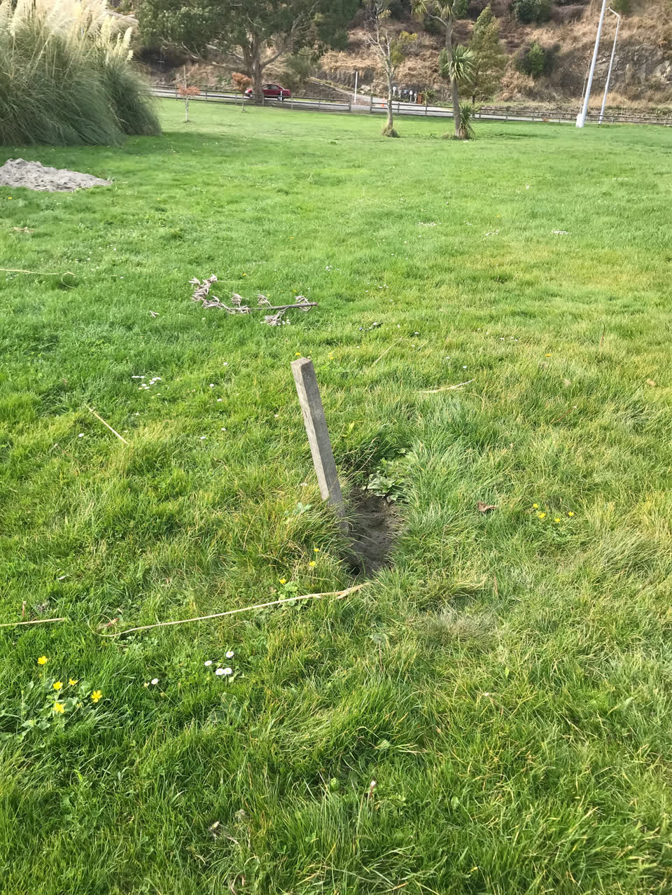 The photograph attached to this parks report