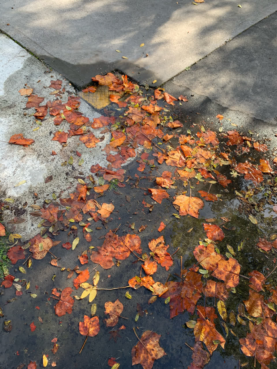 The photograph attached to this water supply report