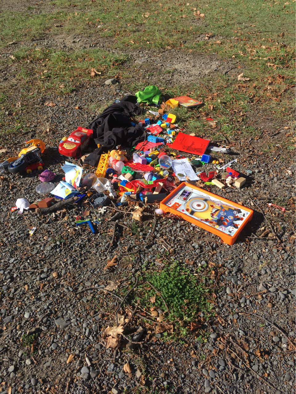 The photograph attached to this rubbish/recycling report