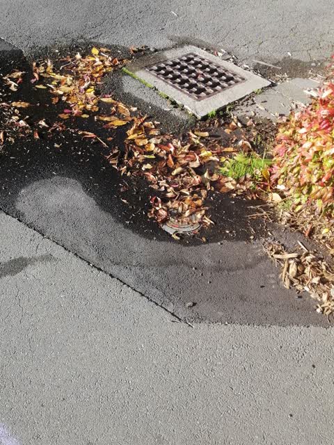 Water Supply, a report photo