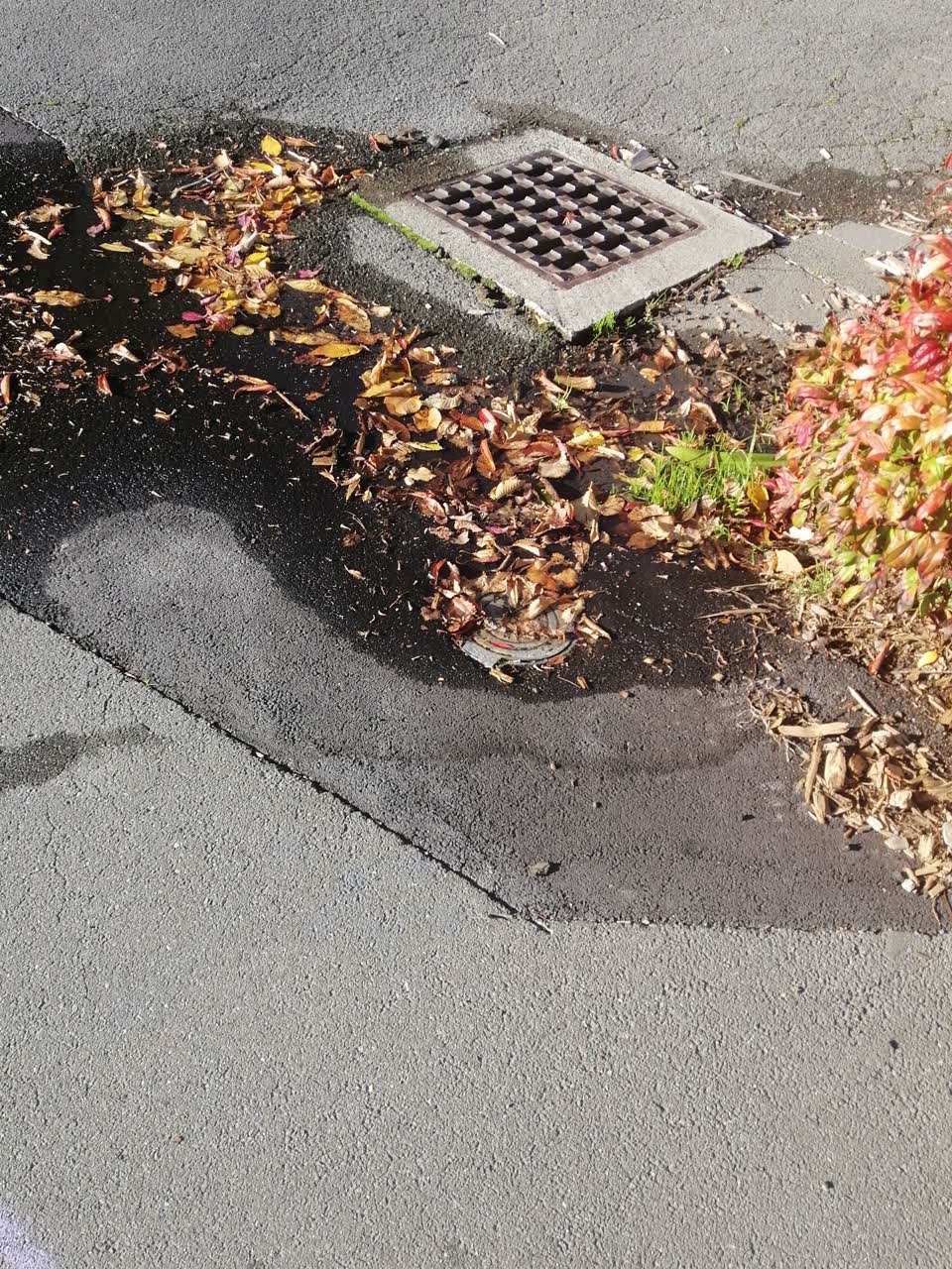 The photograph attached to this water supply report