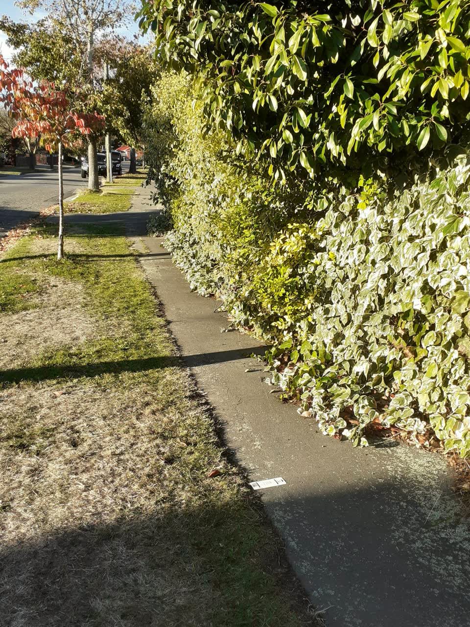 The photograph attached to this roading/streets report