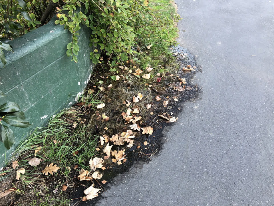 The photograph attached to this flooding report