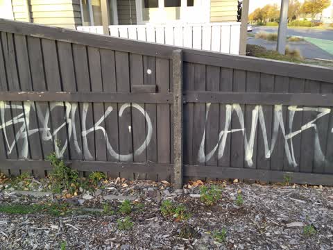 Graffiti, a report photo