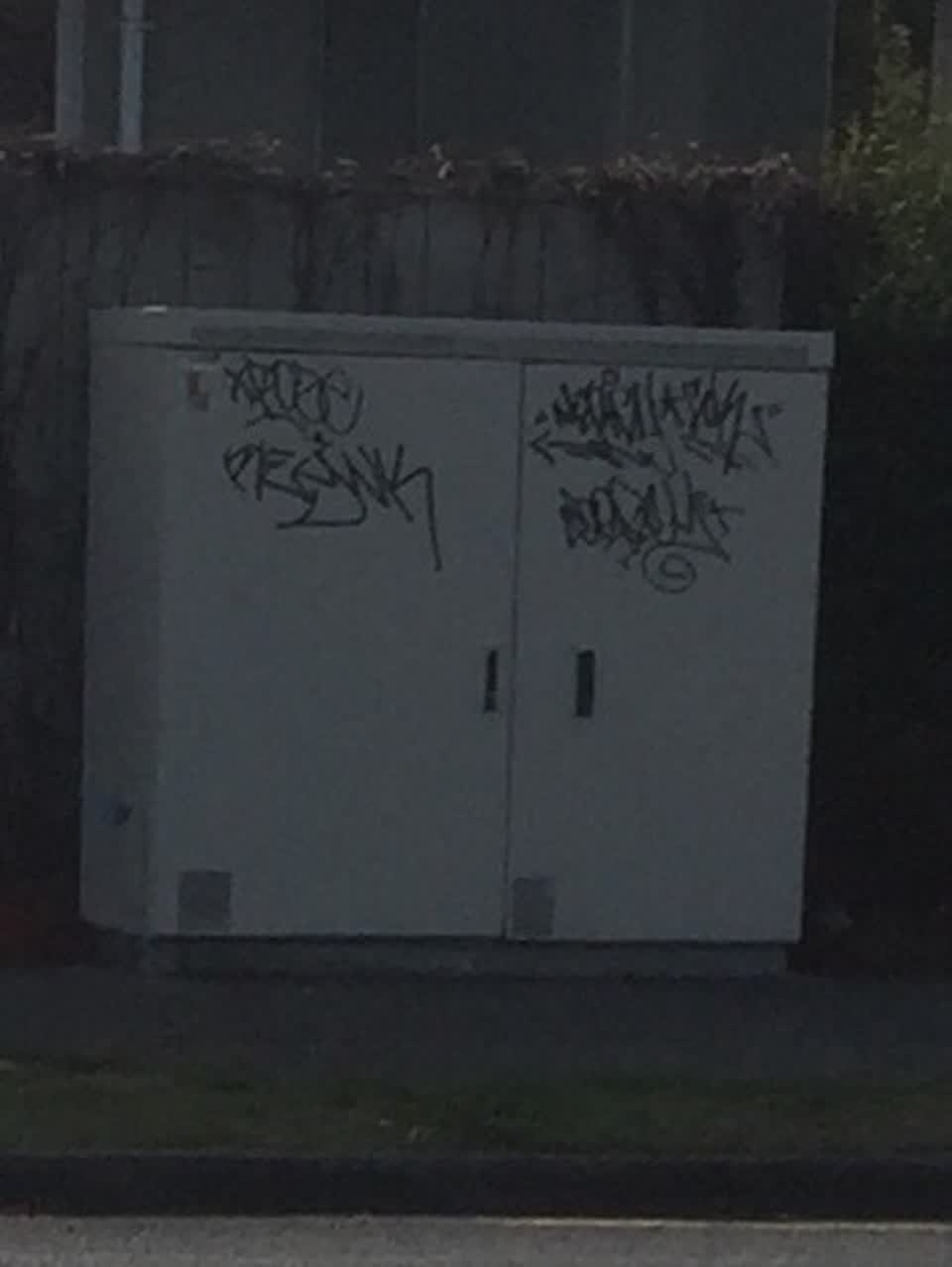 The photograph attached to this graffiti report