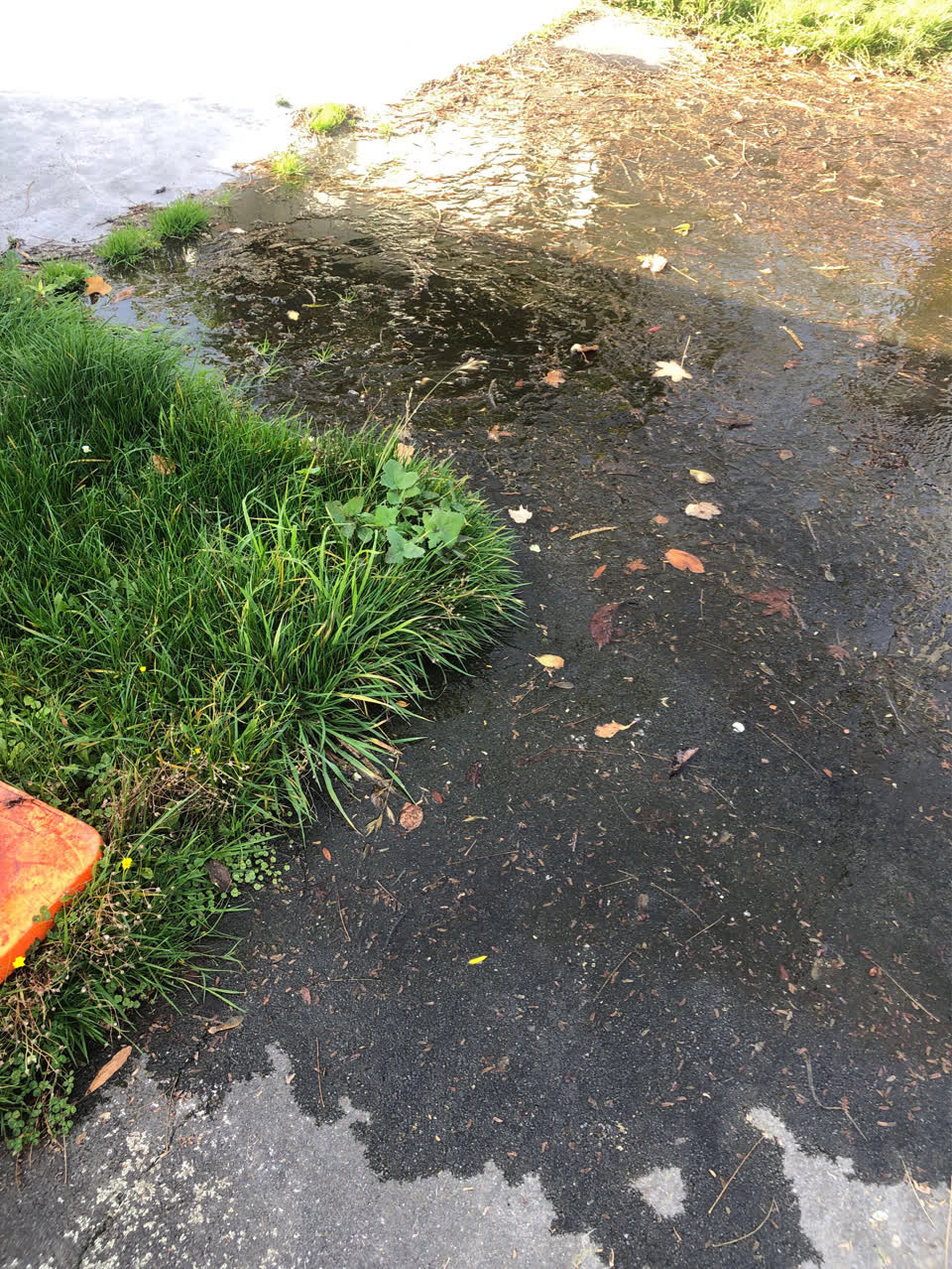 The photograph attached to this water supply report