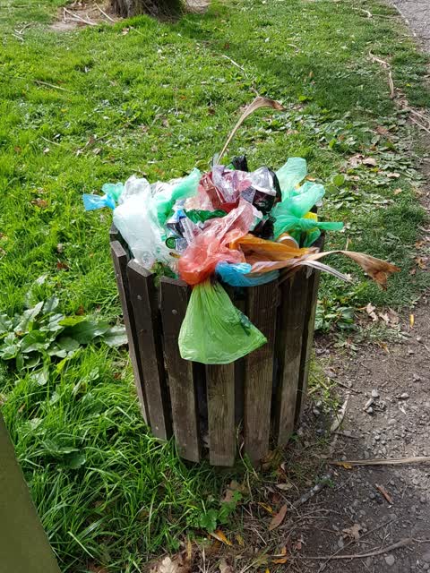 Rubbish/Recycling — a report photo