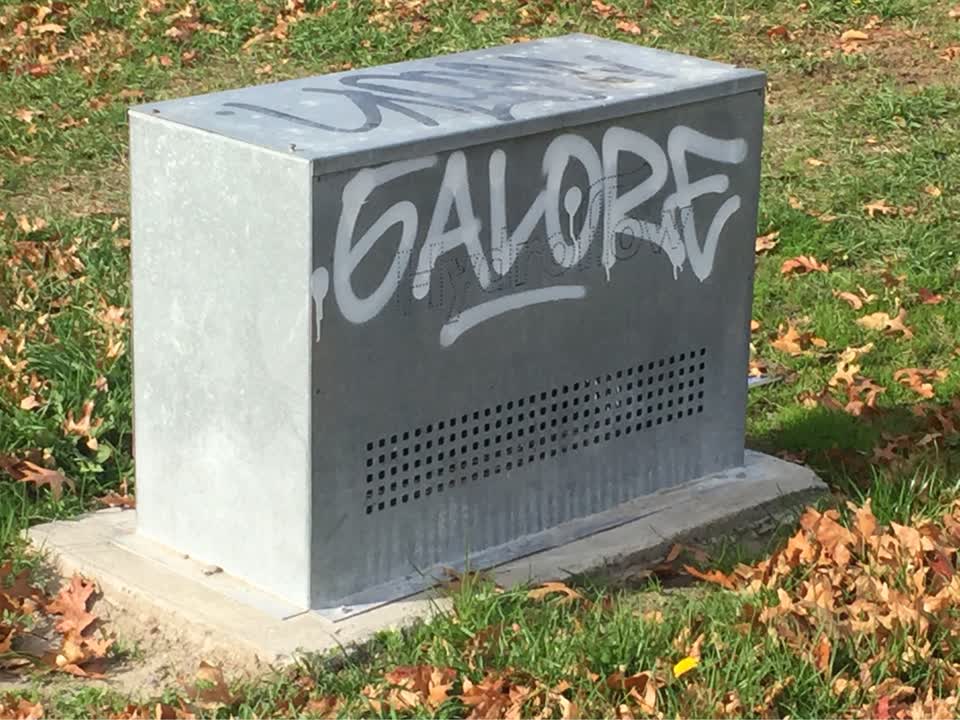 The photograph attached to this graffiti report
