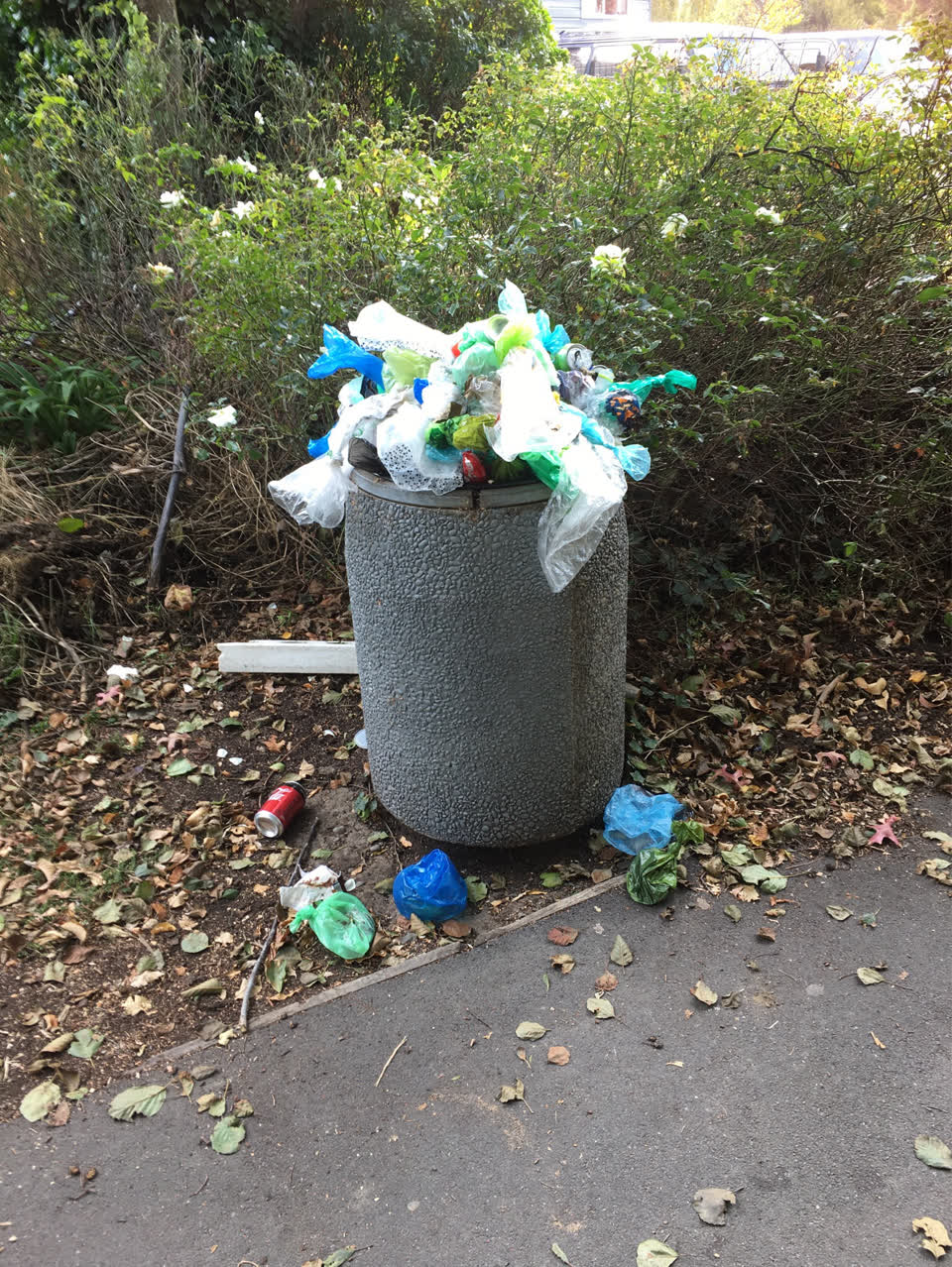 The photograph attached to this rubbish/recycling report