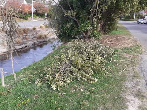 Rubbish/Recycling, a report photo