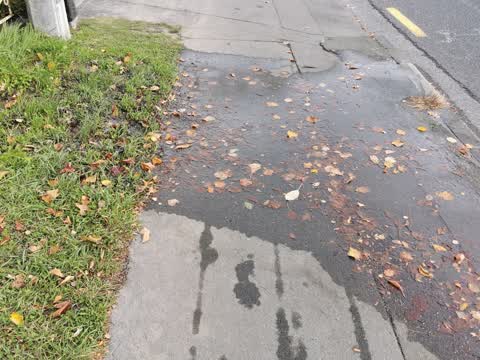 Wastewater/Stormwater, a report photo