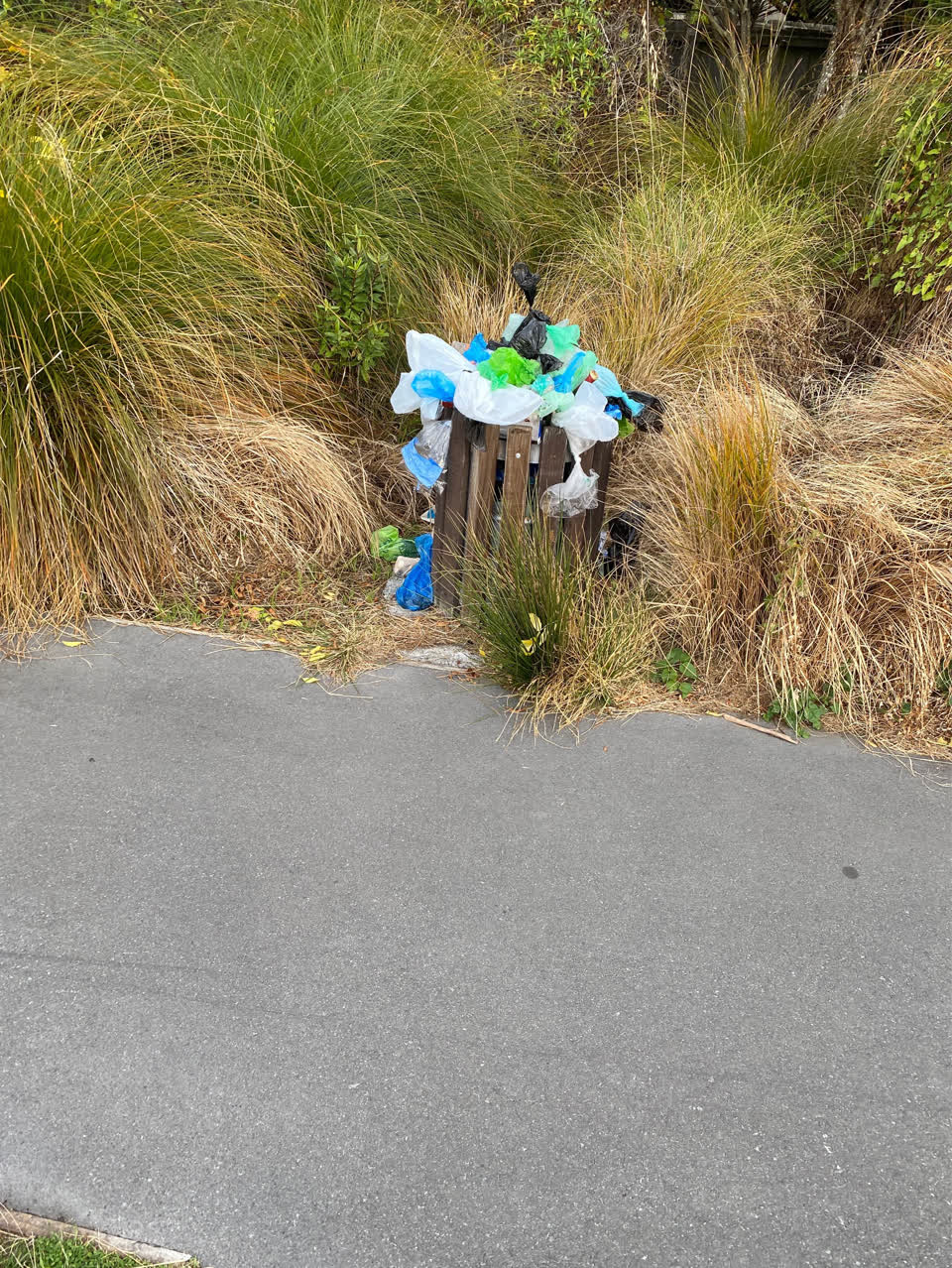 The photograph attached to this rubbish/recycling report