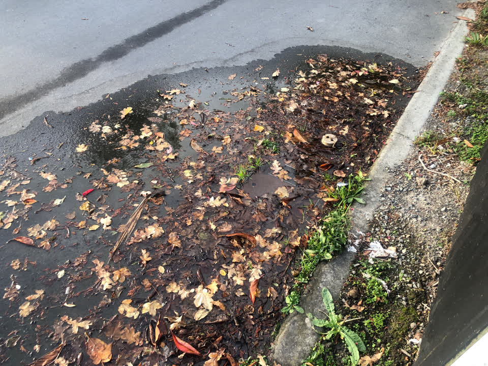 The photograph attached to this wastewater/stormwater report