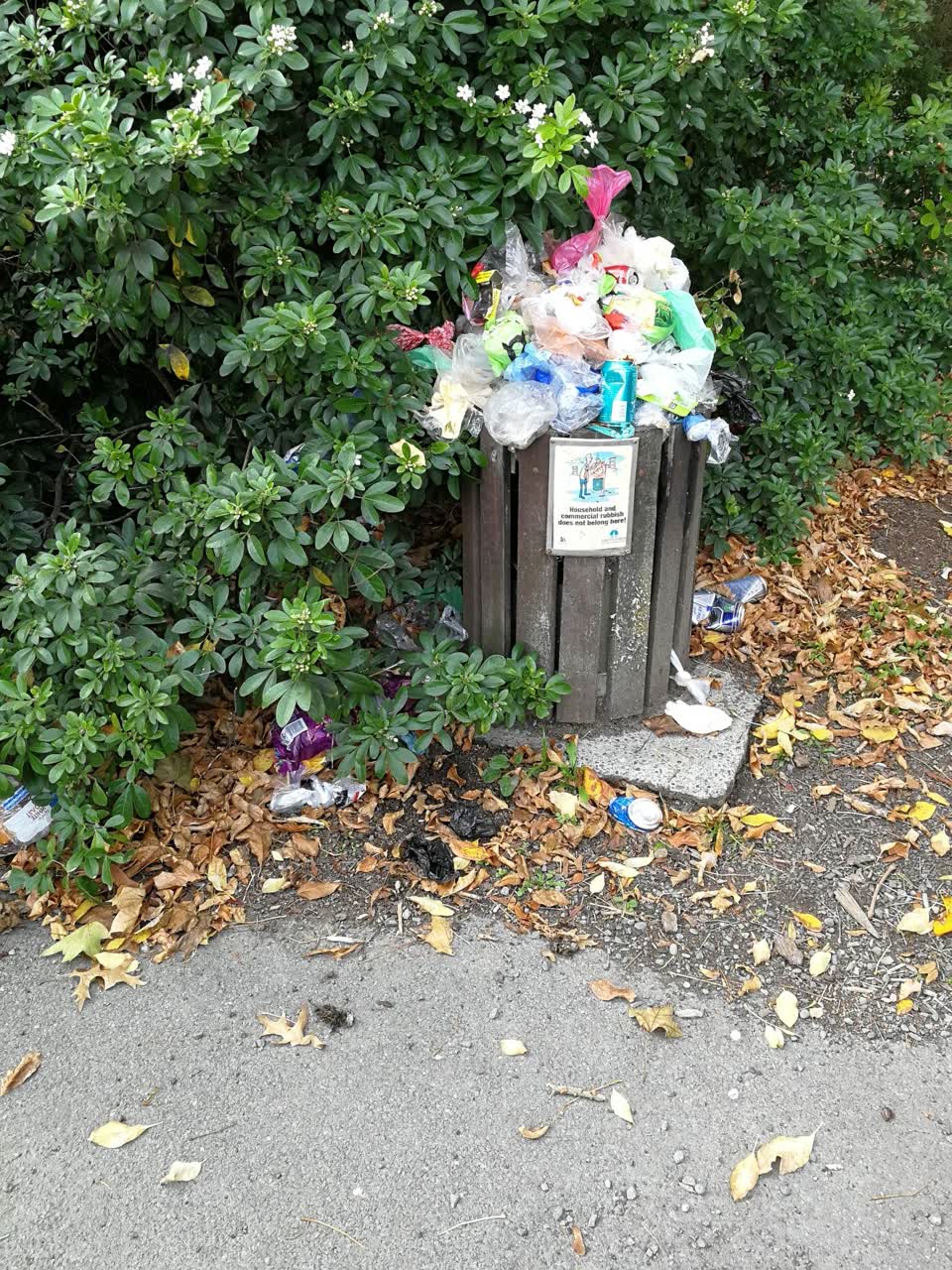 The photograph attached to this rubbish/recycling report