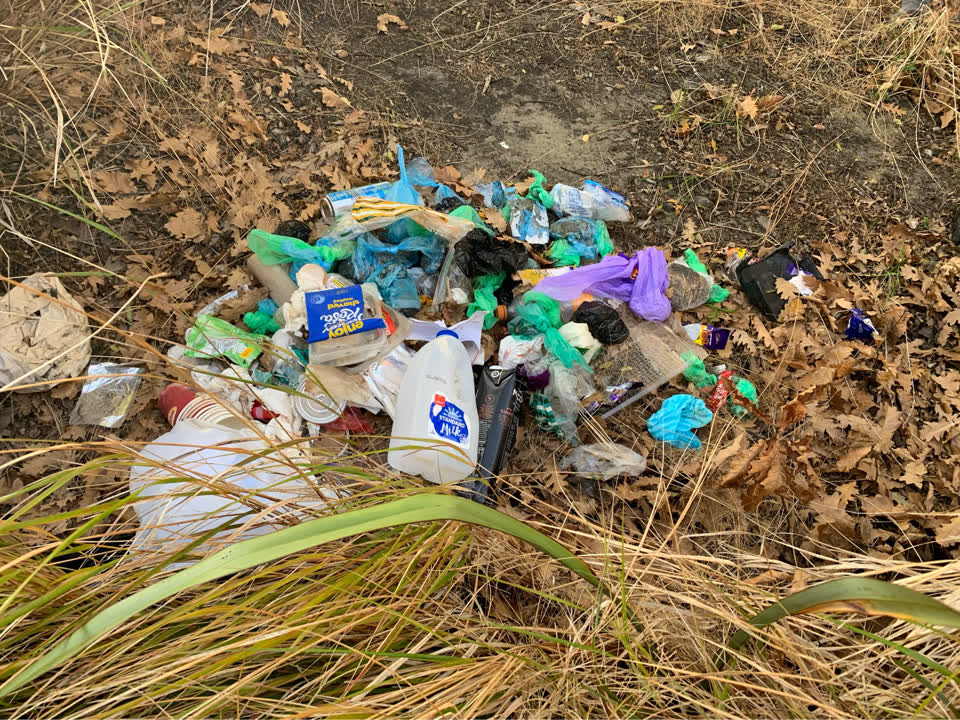 The photograph attached to this rubbish/recycling report