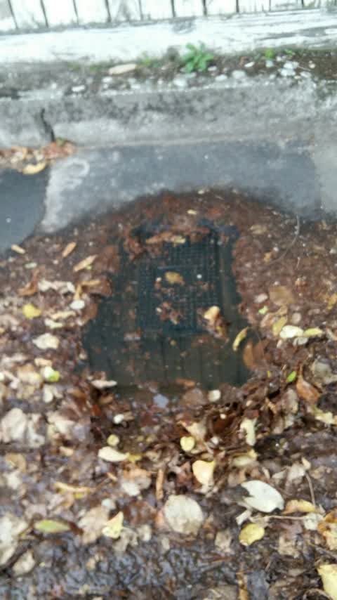 Water Supply, a report photo
