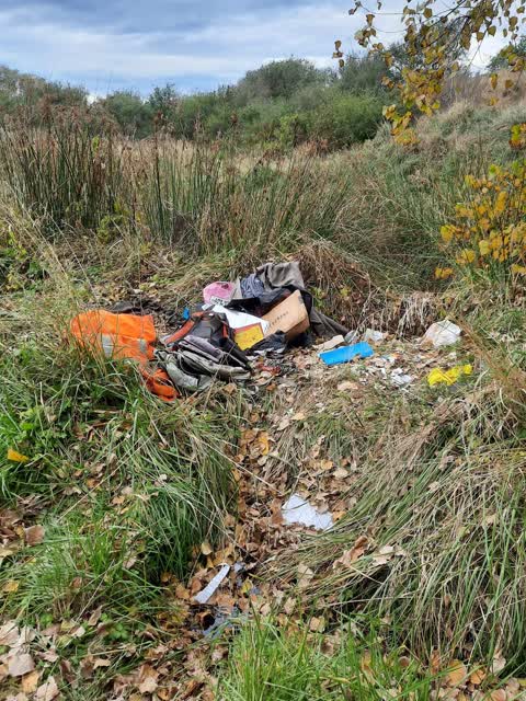 Parks, a report photo