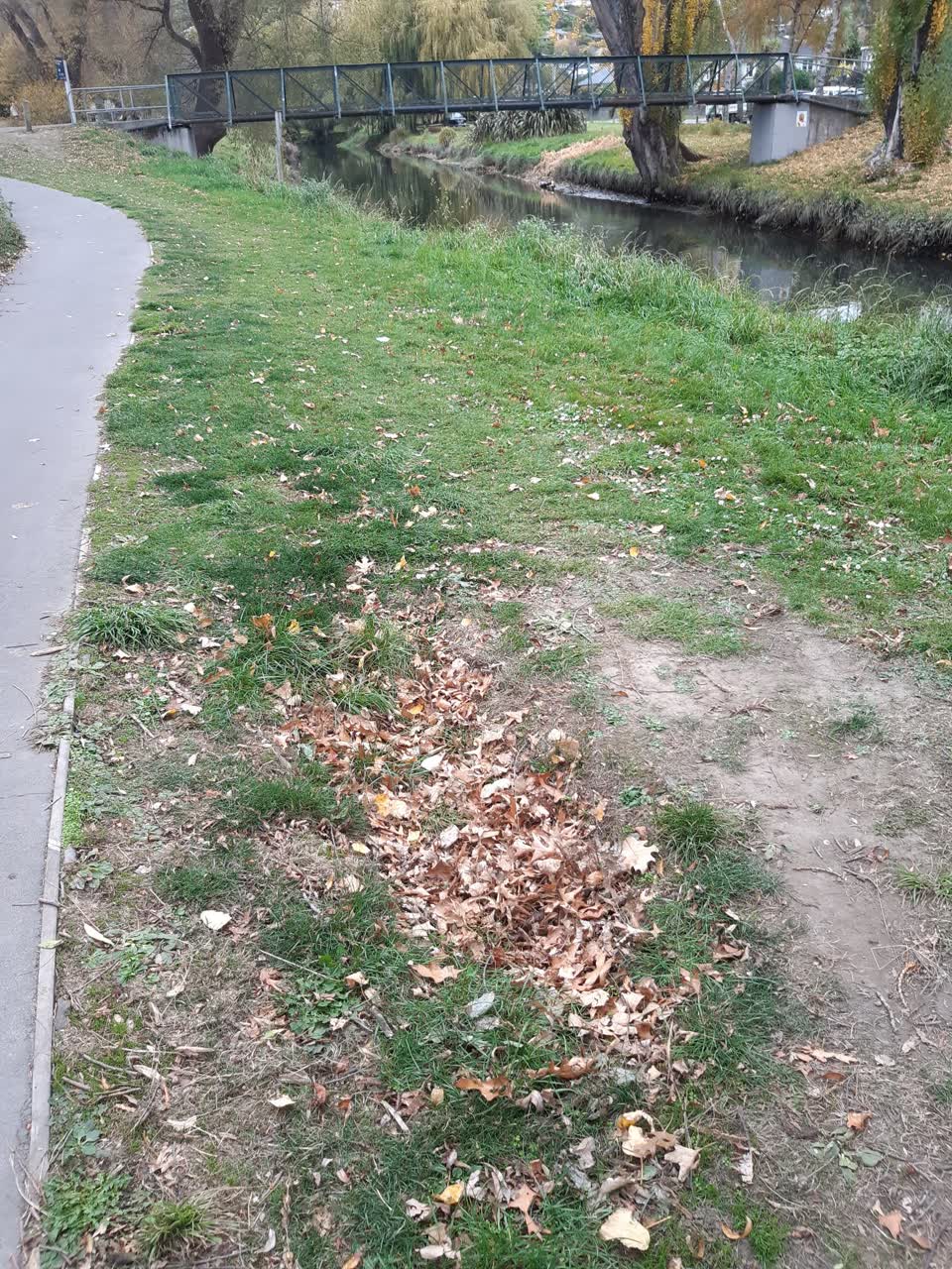 The photograph attached to this parks report