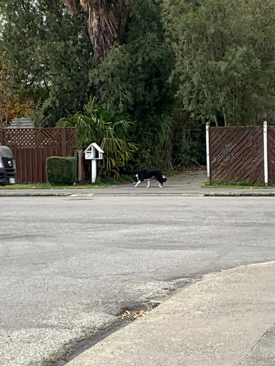 The photograph attached to this roading/streets report