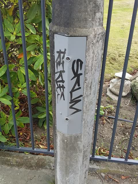Graffiti, a report photo