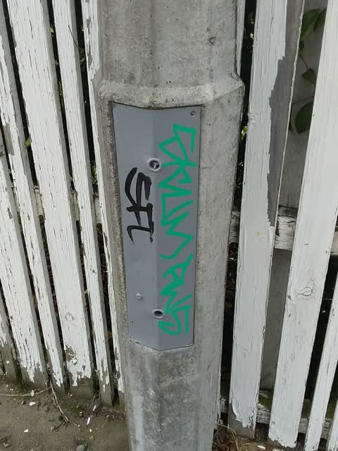 Graffiti, a report photo