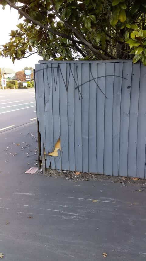 Graffiti, a report photo