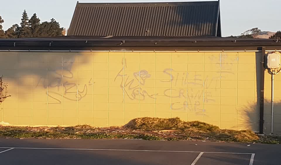The photograph attached to this graffiti report