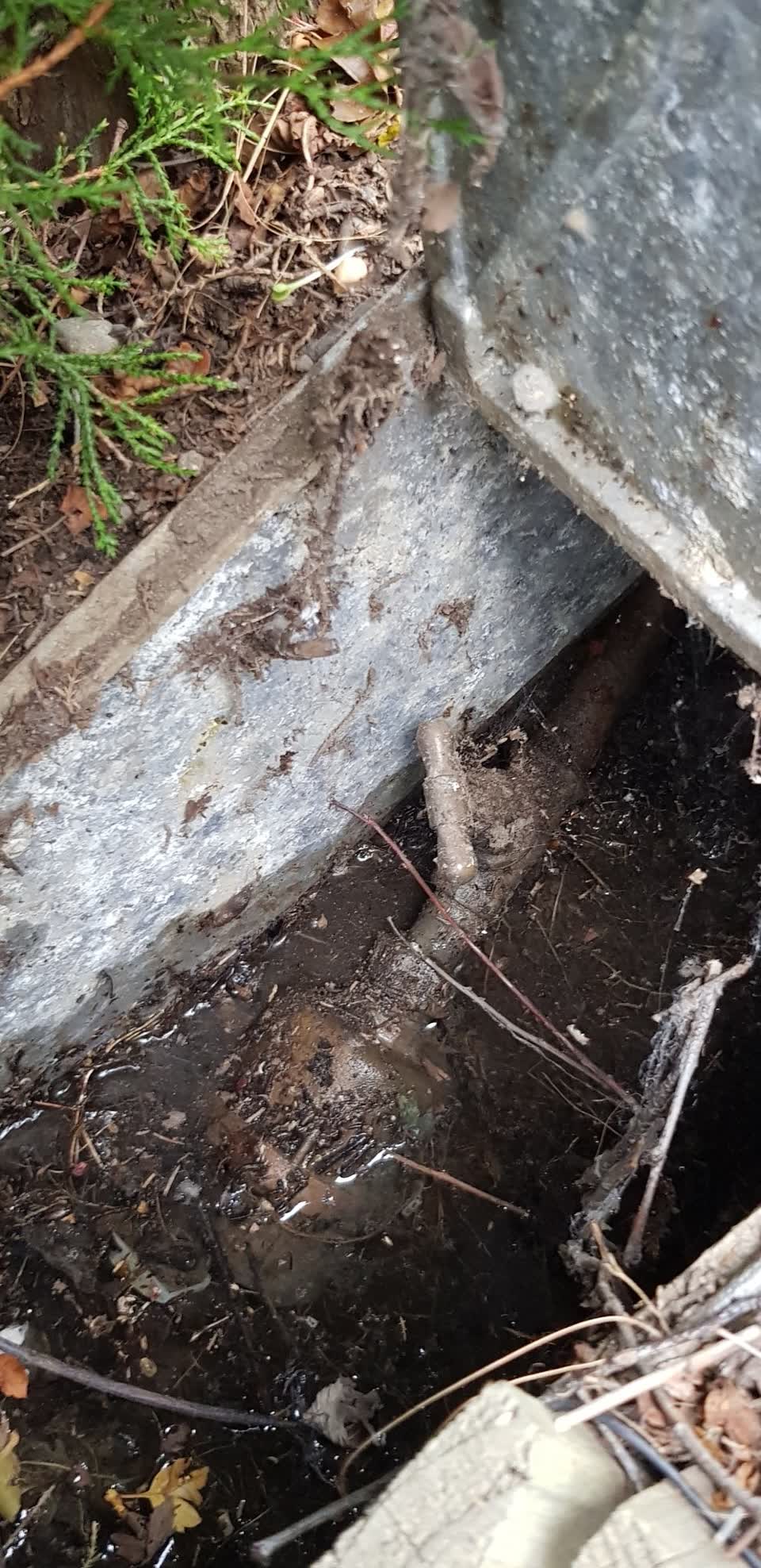 The photograph attached to this water supply report