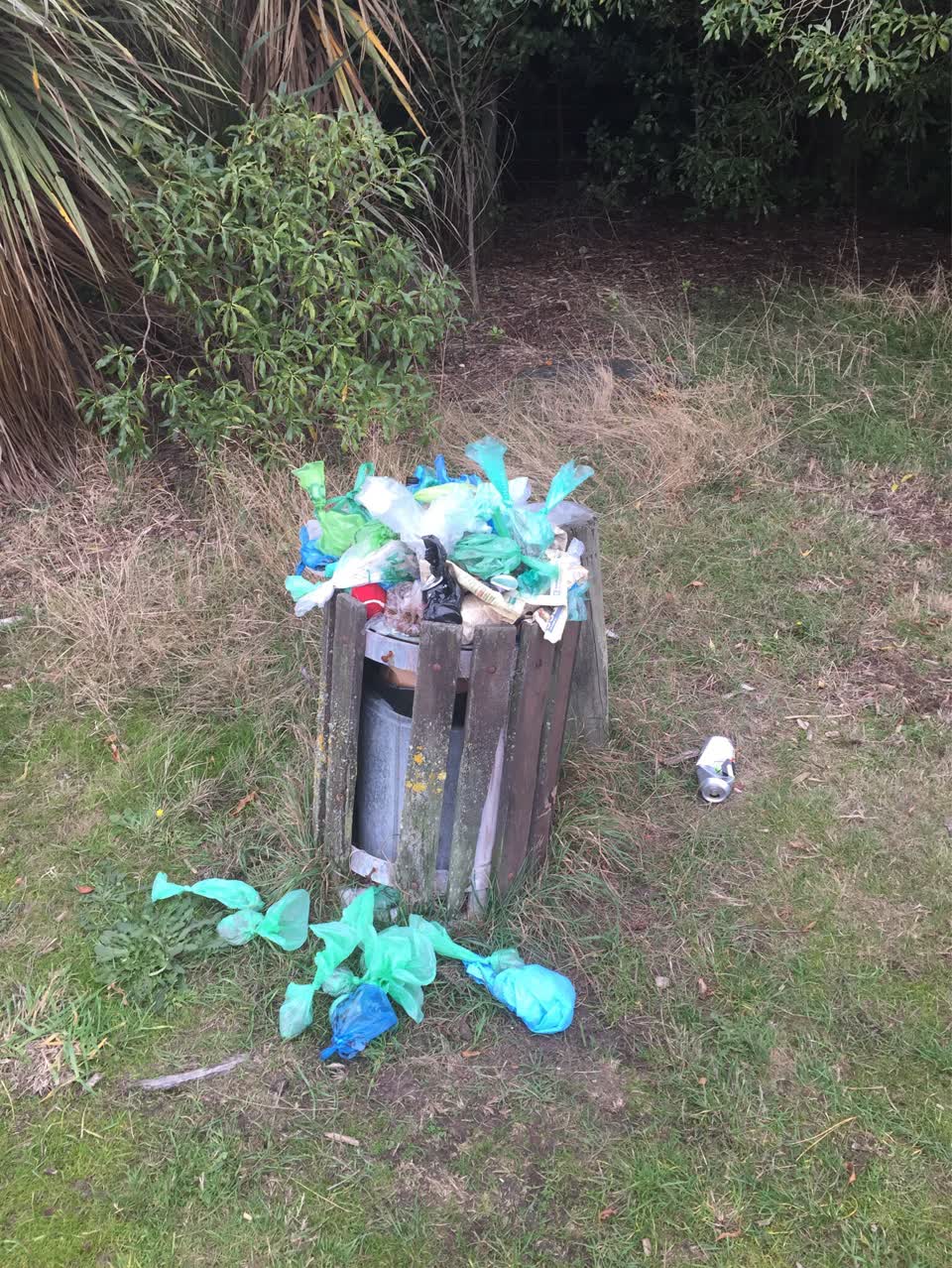 The photograph attached to this rubbish/recycling report