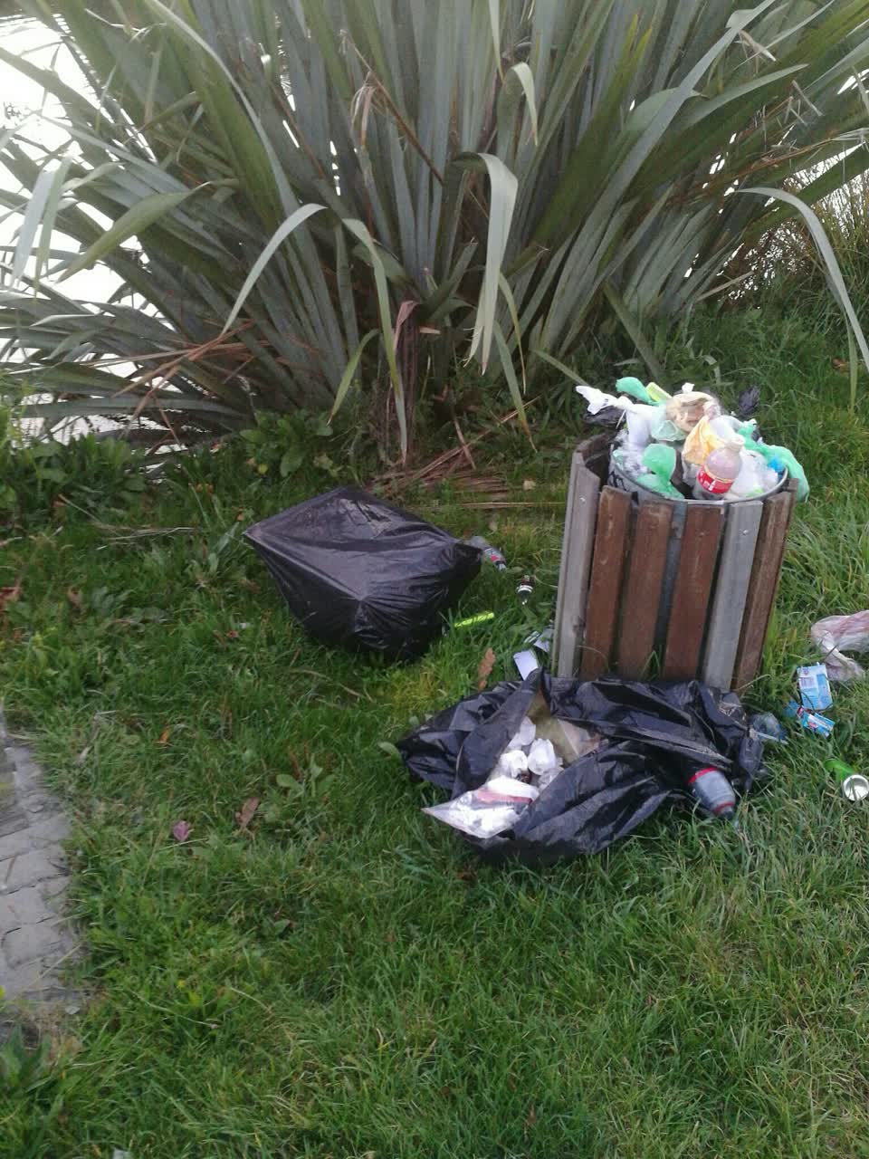 The photograph attached to this rubbish/recycling report