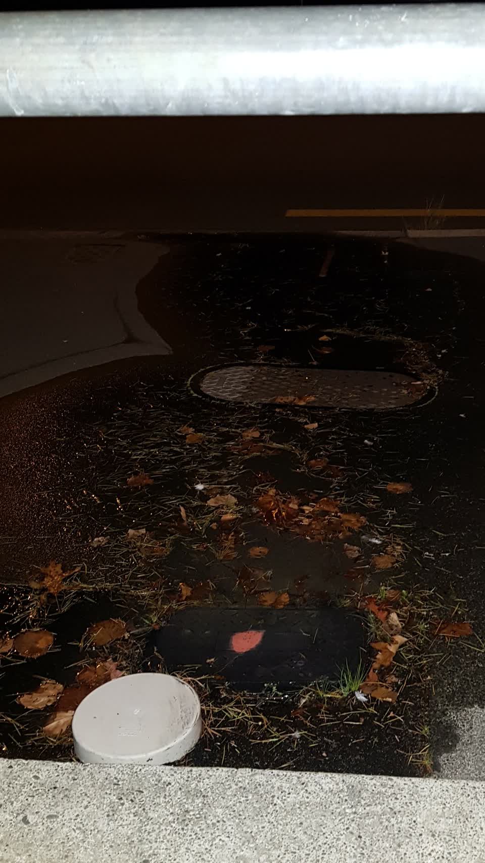 The photograph attached to this water supply report