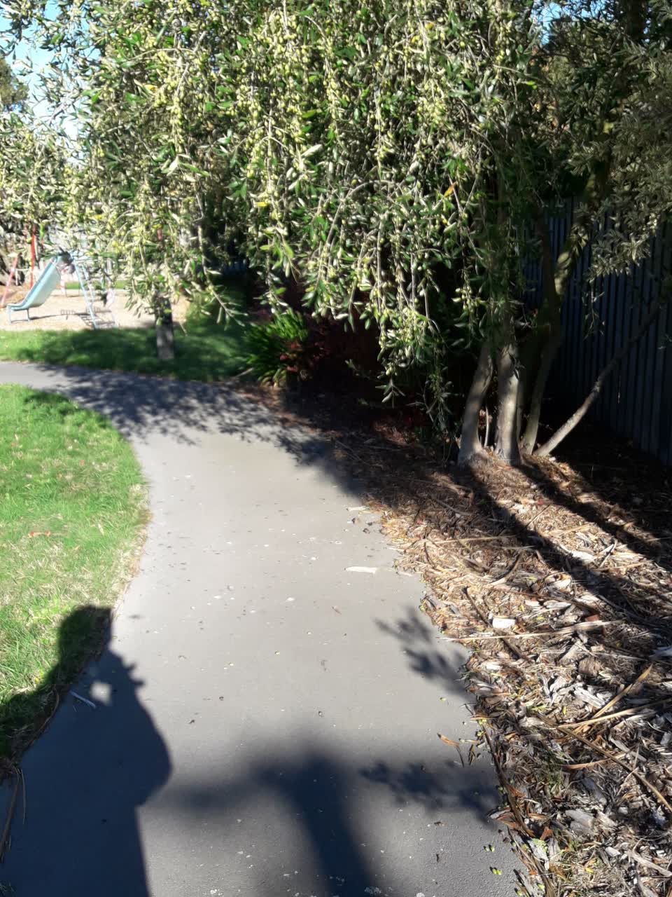 The photograph attached to this parks report