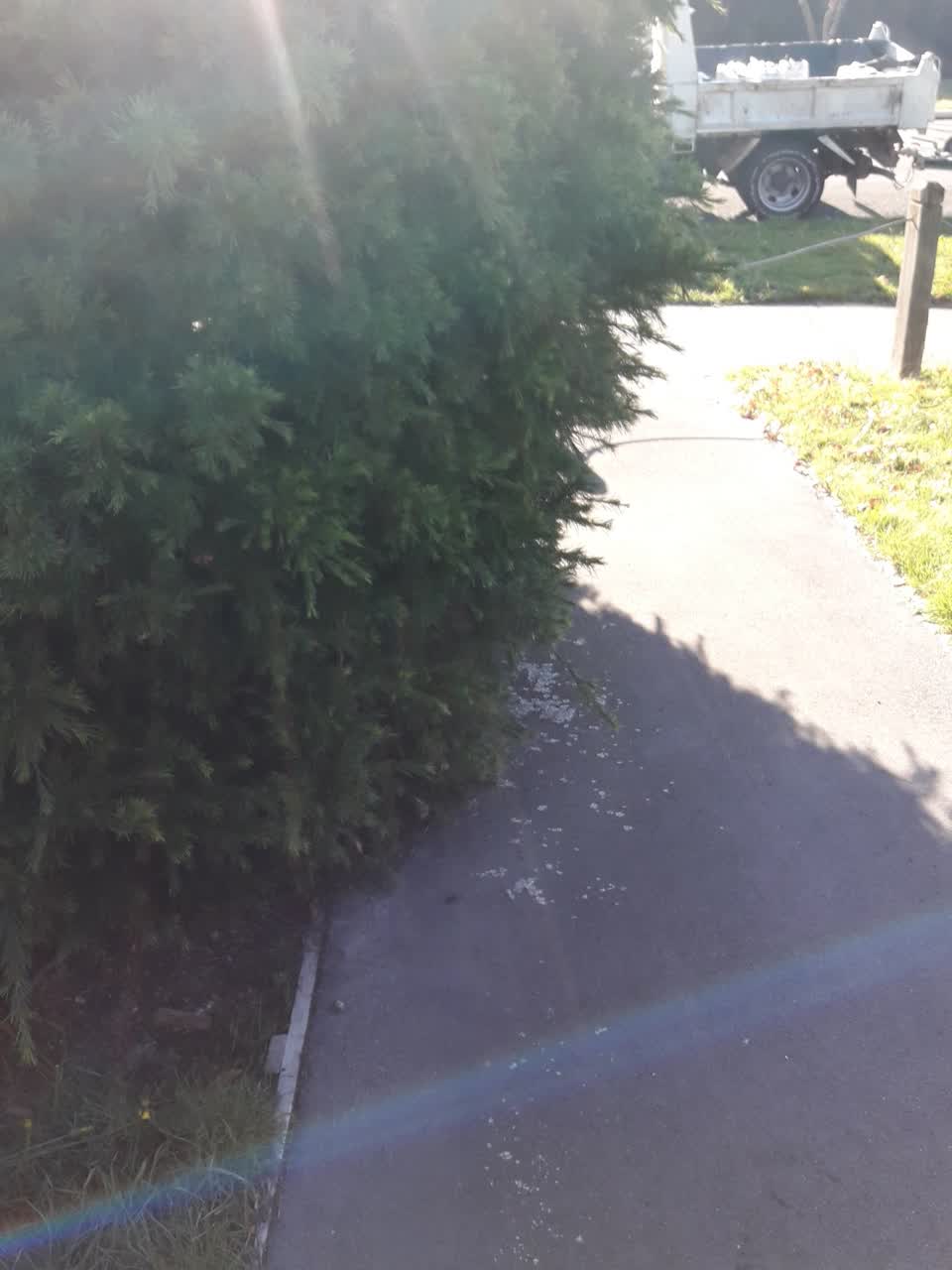 The photograph attached to this parks report