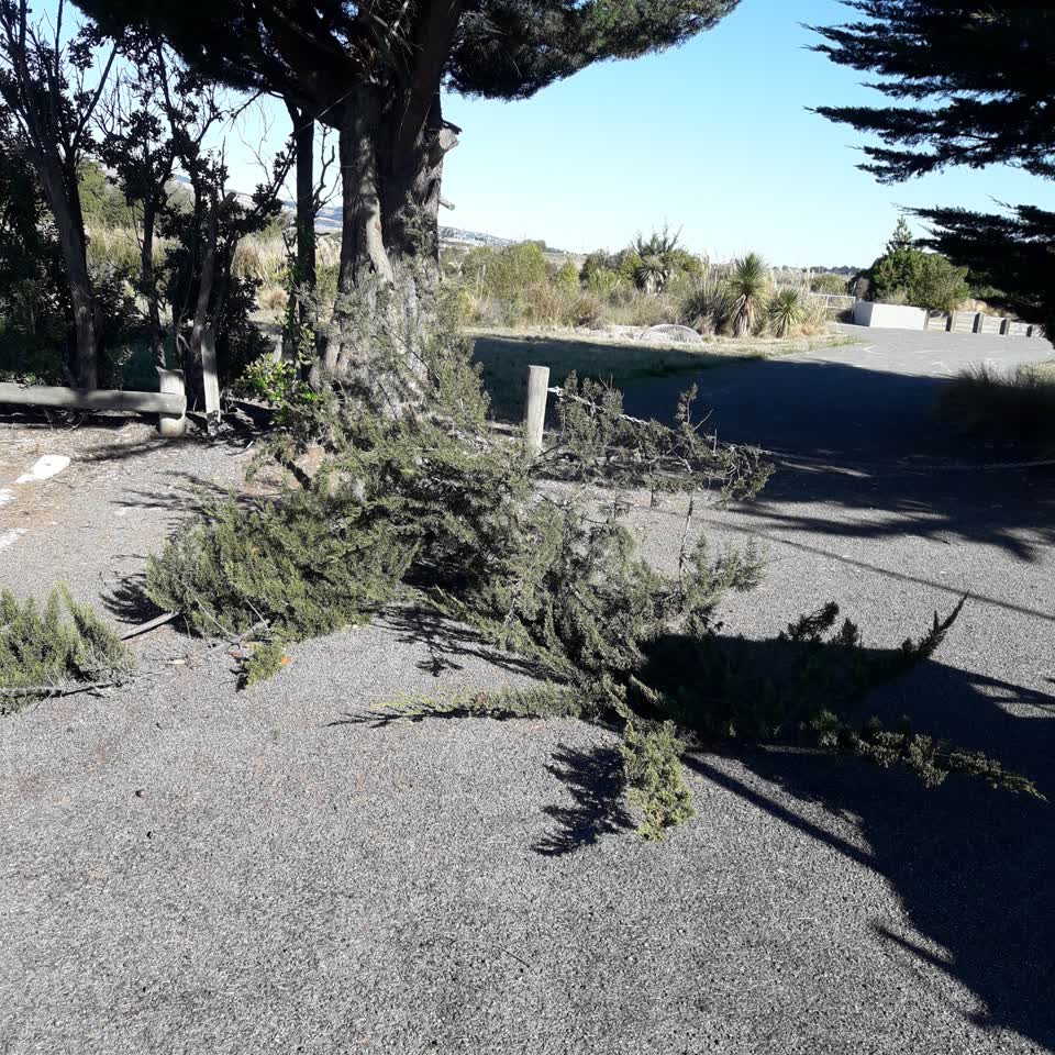 The photograph attached to this parks report