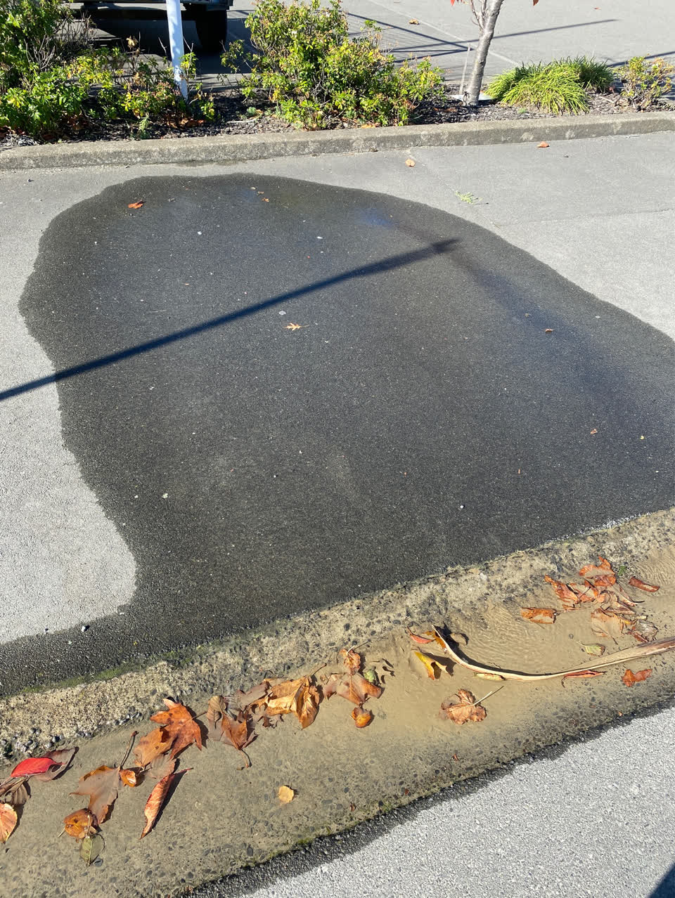 The photograph attached to this water supply report
