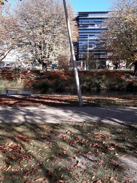Parks, a report photo