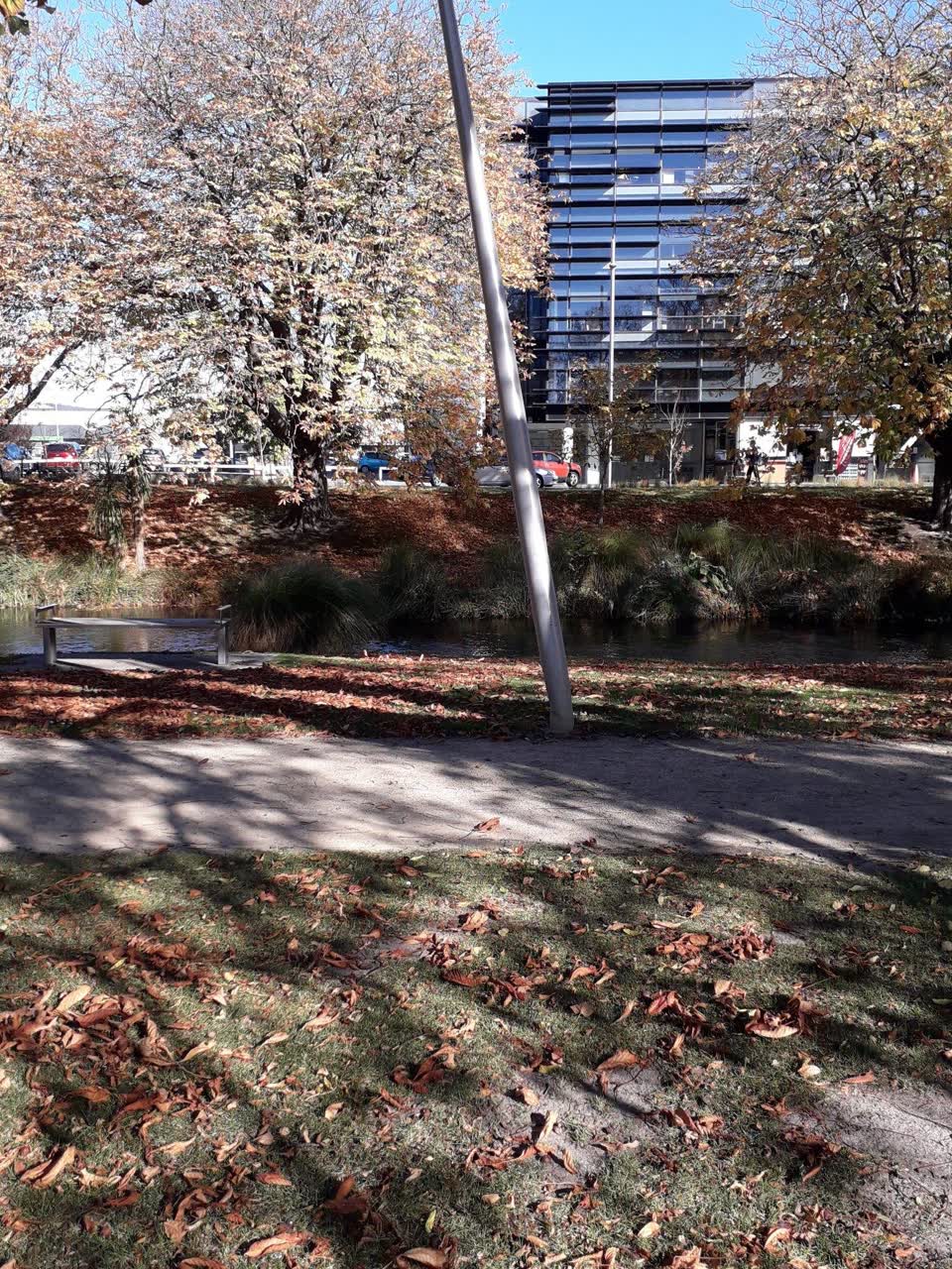The photograph attached to this parks report