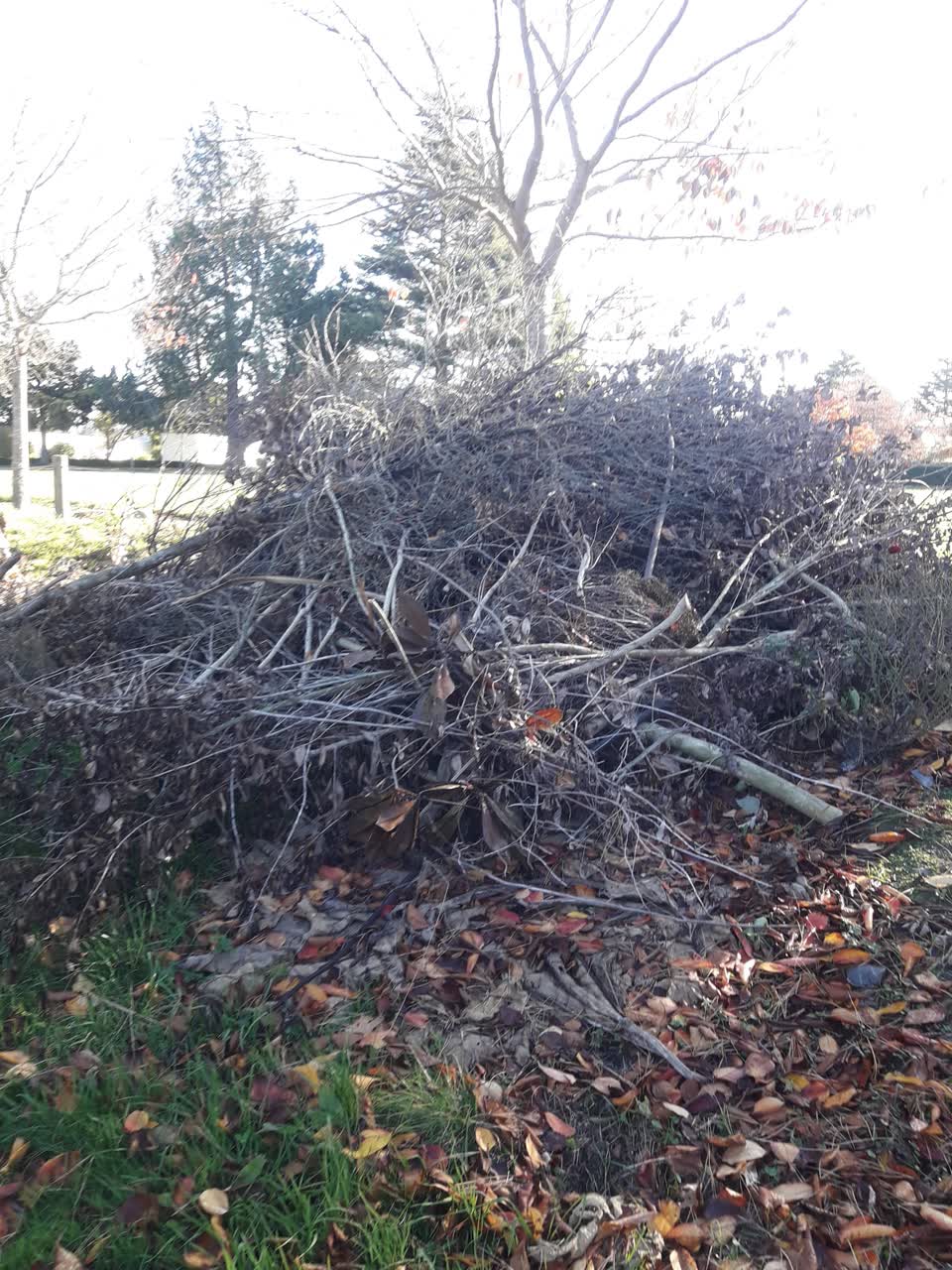 The photograph attached to this parks report