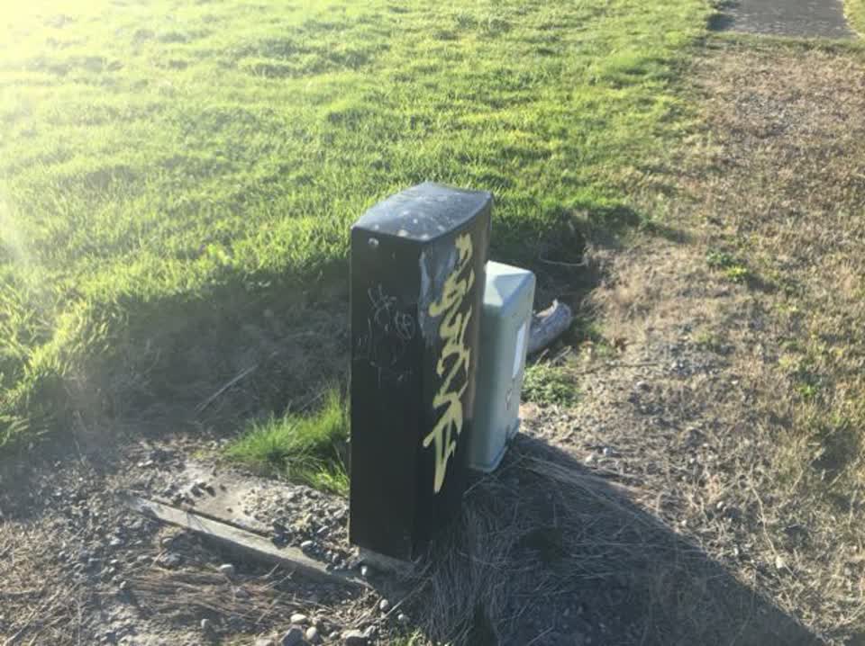 The photograph attached to this graffiti report