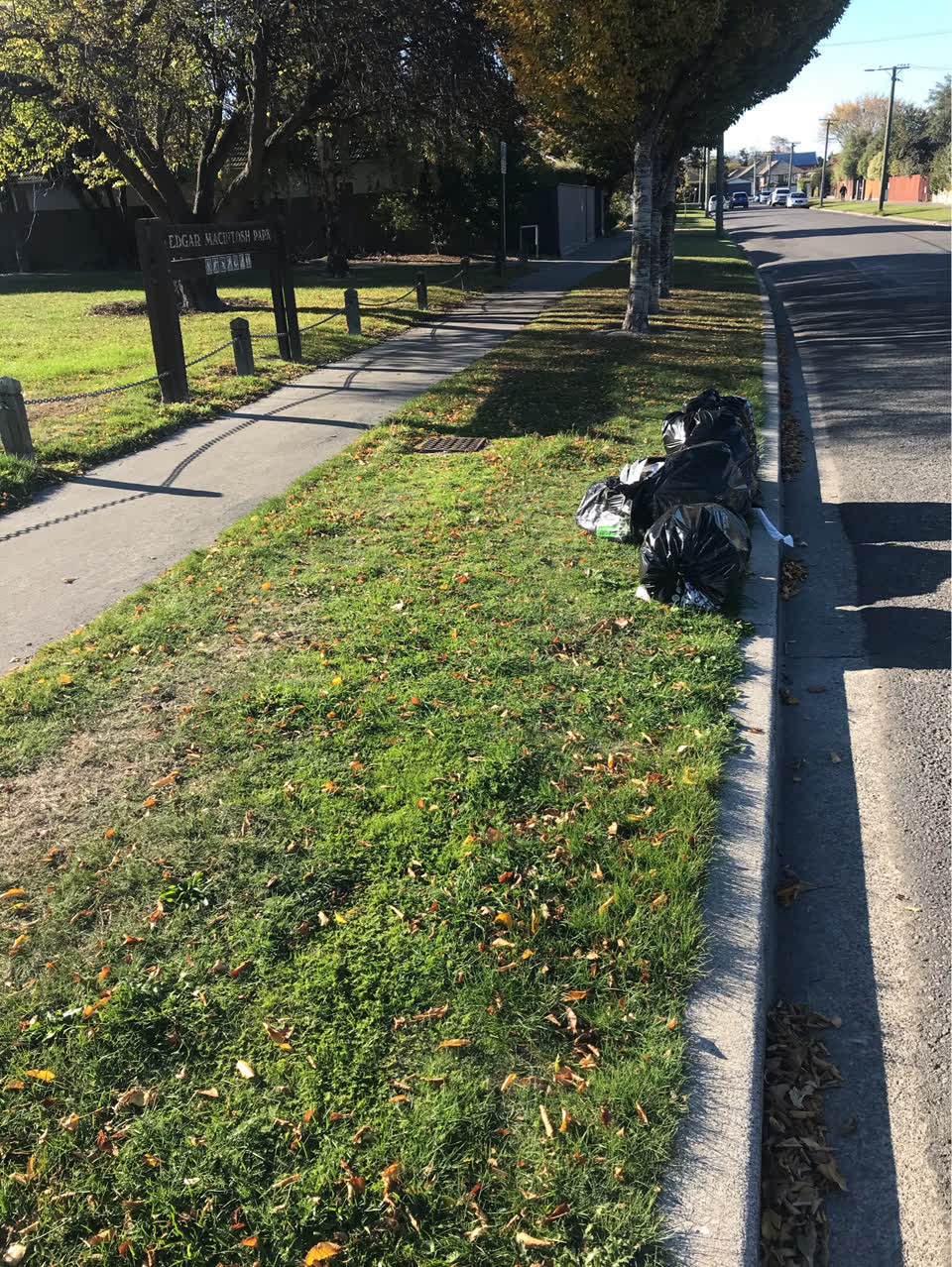 The photograph attached to this rubbish/recycling report