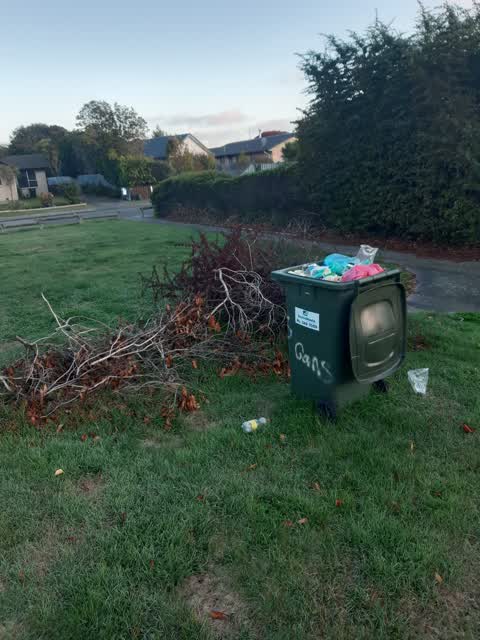 Parks, a report photo