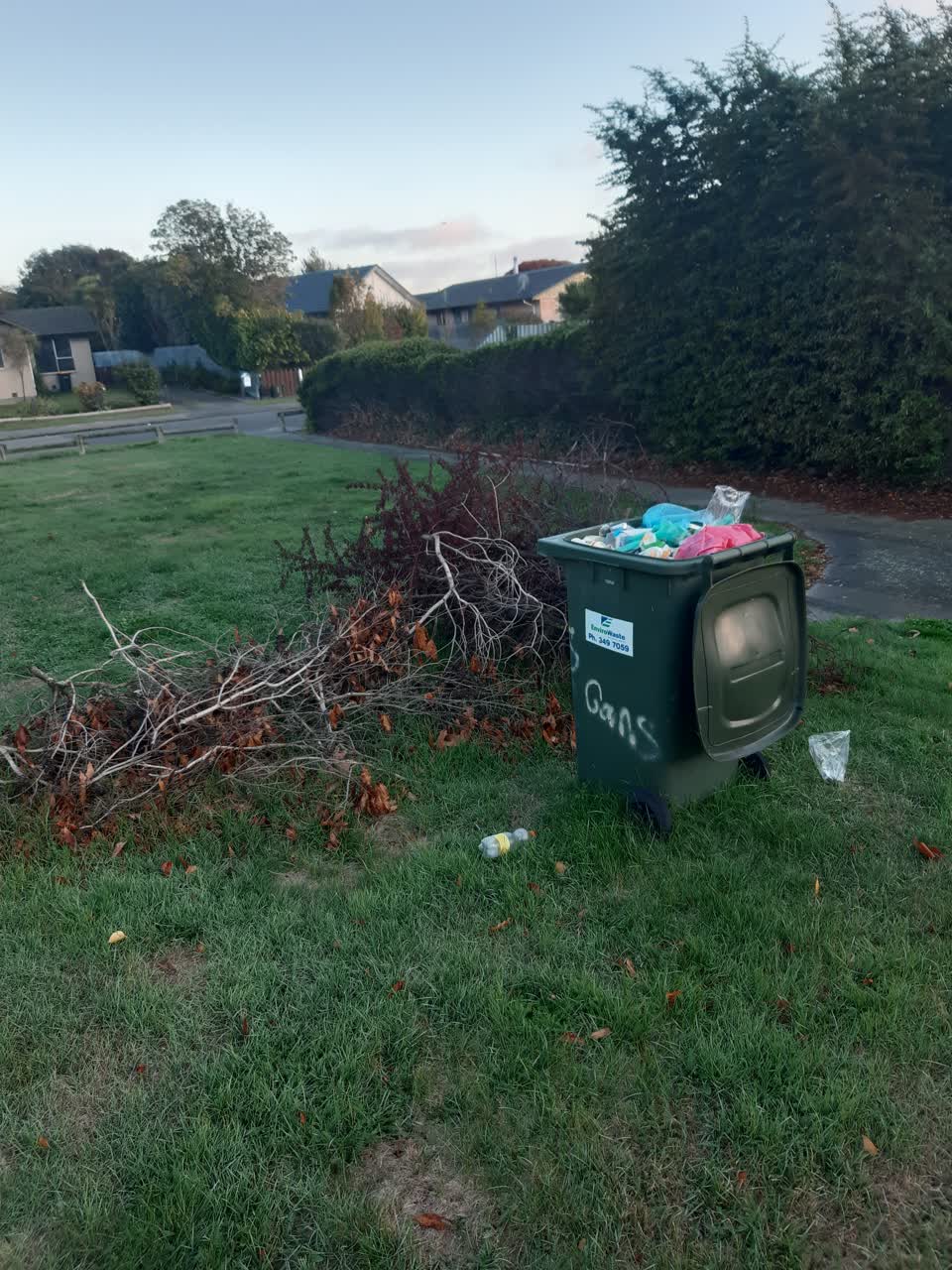 The photograph attached to this parks report