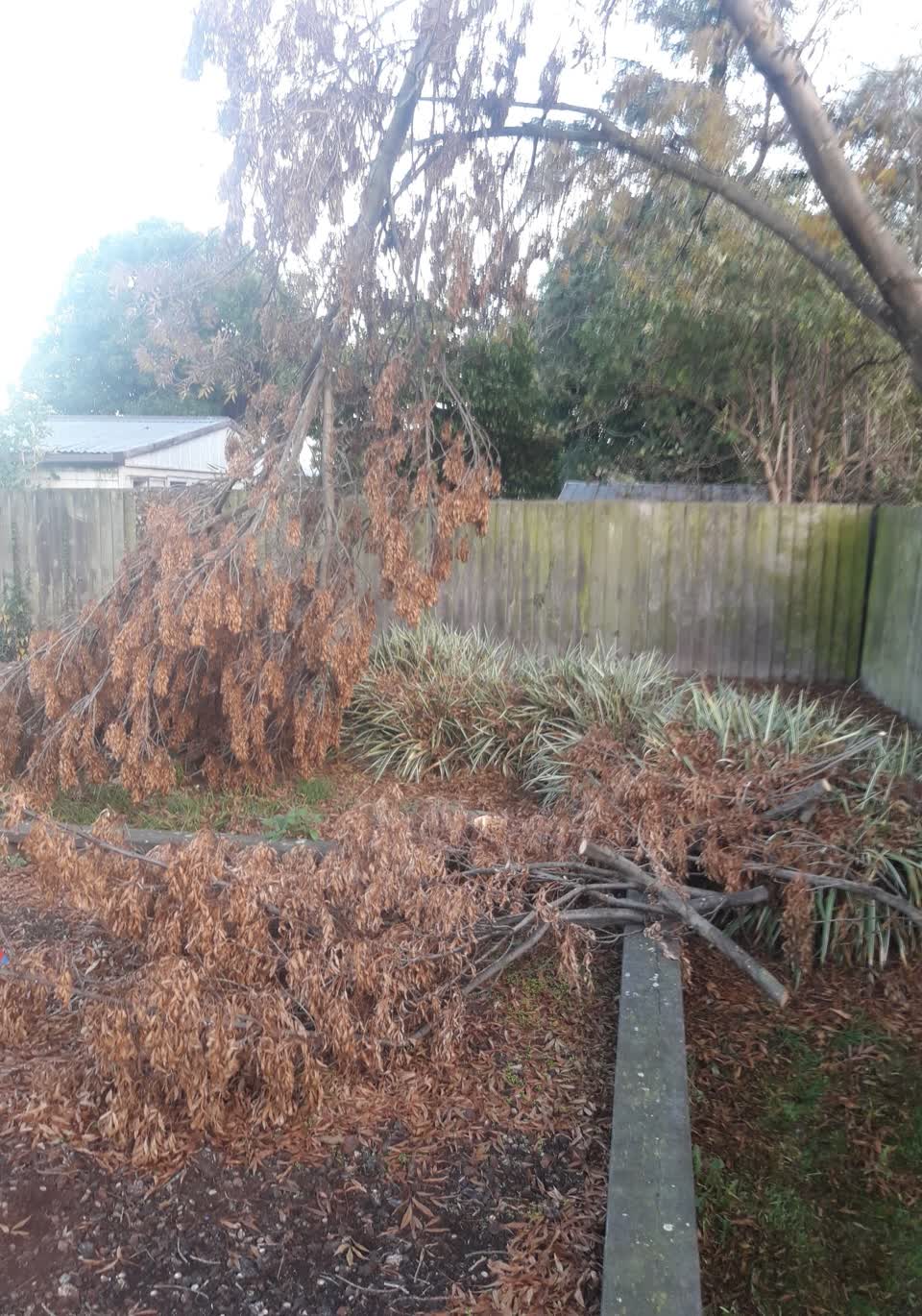 The photograph attached to this parks report