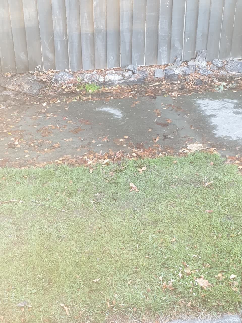 The photograph attached to this water supply report