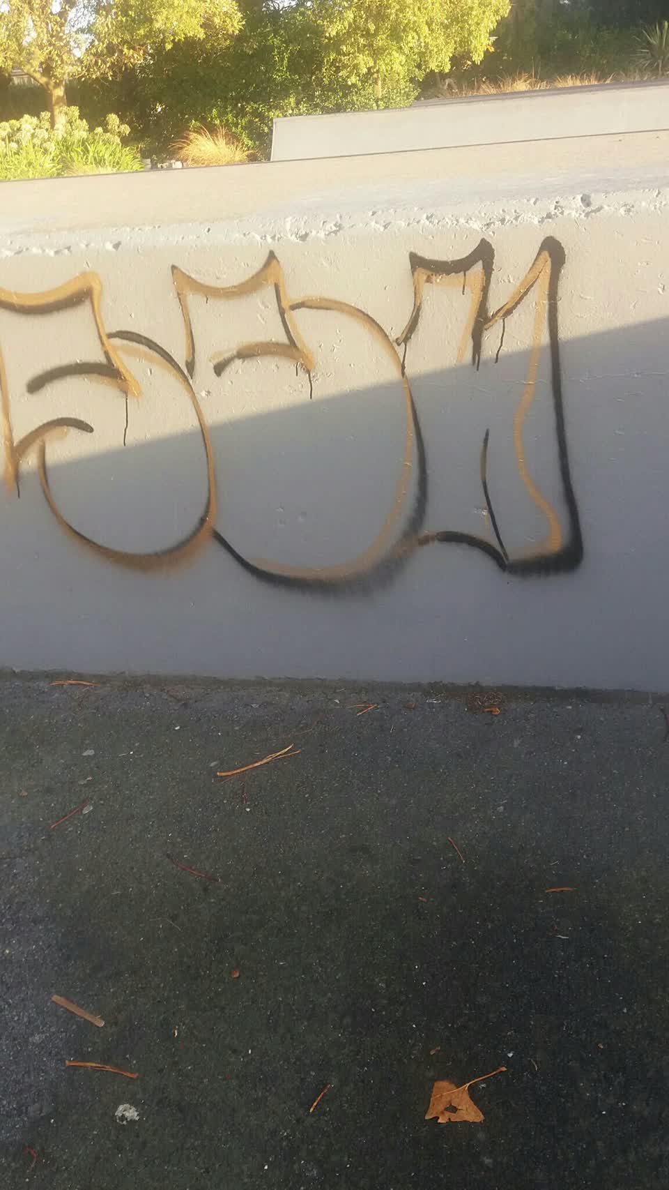 The photograph attached to this graffiti report
